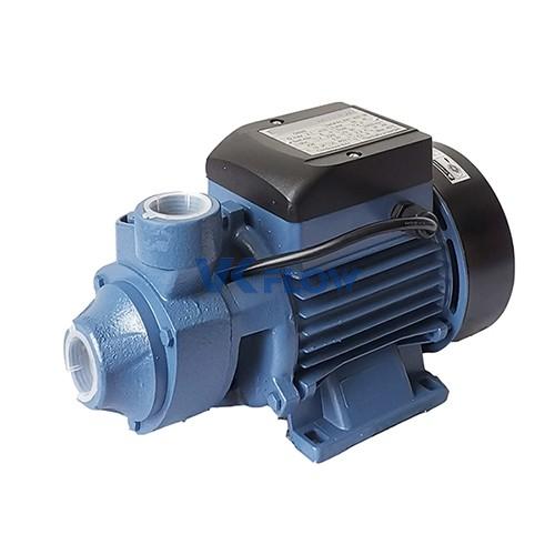 QB Series Small Domestic Electric Peripheral Pump 3