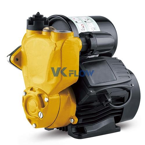 RJ Series Self Priming Pumps With Pressure Tank 2